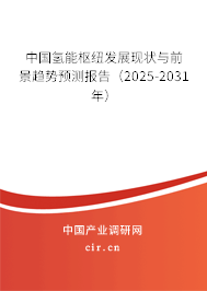 中國氫能樞紐發(fā)展現(xiàn)狀與前景趨勢預測報告（2025-2031年）